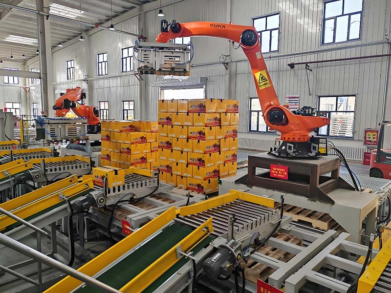 自动化包装线应用农产品加工行业