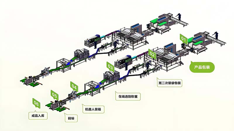 自动化包装线重载物流包装方案